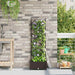 Hageblomsterpotte Brun 40 x 40 x 125,5 cm PP