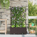 Hageblomsterpotte 2 stk. Brun 80 x 40 x 143 cm PP