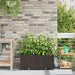 Hageblomsterpotte 2 pcs Brun 80 x 40 x 37,5 cm Plast
