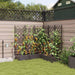 Hageblomsterpotte 5 stk. Brun 120 x 120 x 126 cm PP