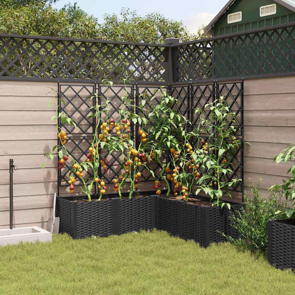 Hageblomsterpotte 5 stk. Svart 120 x 120 x 143 cm PP