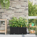 Hageblomsterpotte 2 stk. Svart 80 x 40 x 37,5 cm PP