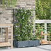 Hageblomsterpotte 2 stk. Lysegrå 80 x 40 x 126 cm PP