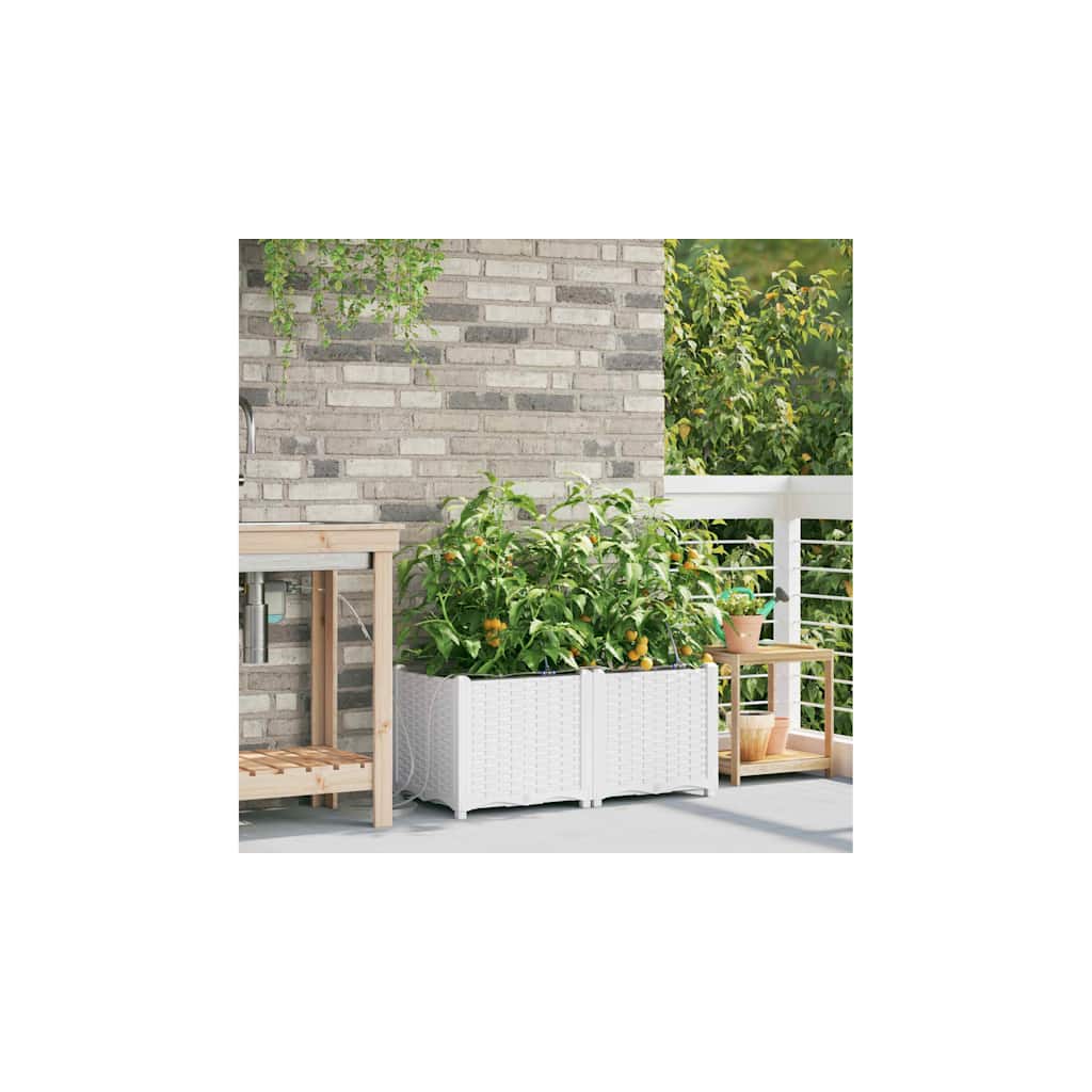 Hageblomsterpotte 2 stk. Hvit 80 x 40 x 37,5 cm PP