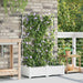 Hageblomsterpotte 2 pcs Hvit 80 x 40 x 126 cm Plast