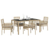Hage Spisegruppe 5 pcs Beige Poly rattan