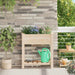 Hageblomsterpotte Beige 71 x 37 x 76,5 cm Massiv Furu Tre