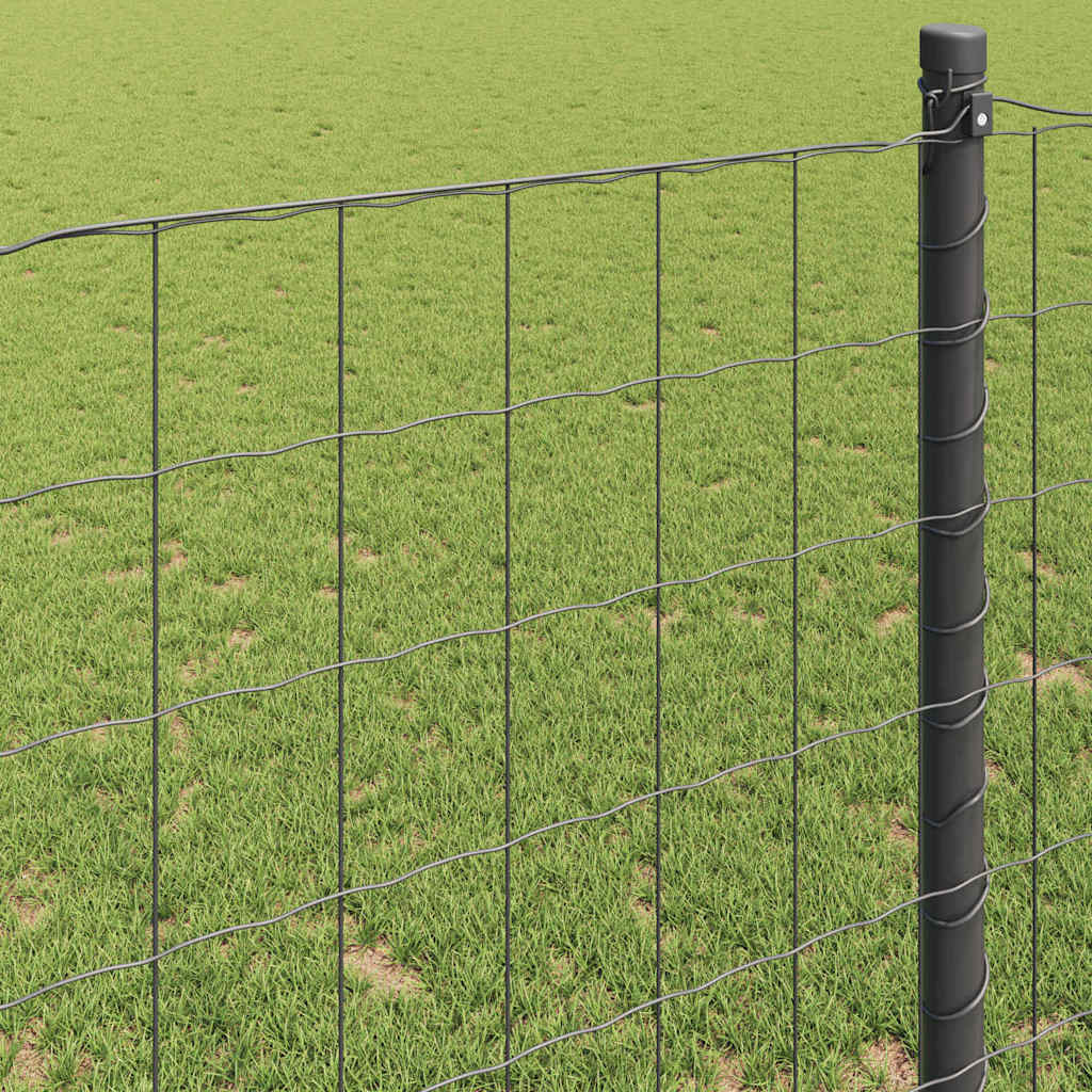 Euro gjerde Grå 0.8 x 10 m PVC-belagt jern