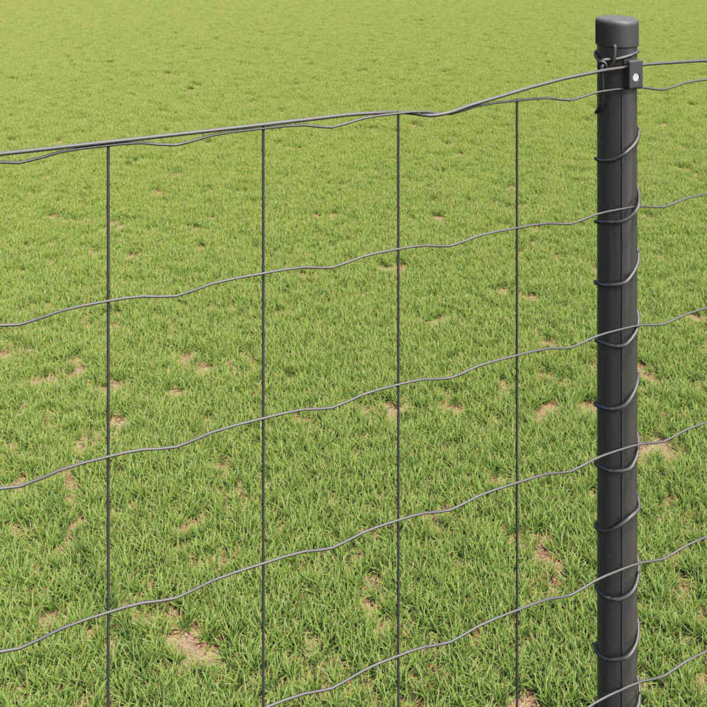 Euro gjerde Grå 0,6 x 10 m PVC-belagt jern