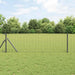 Euro gjerde Grå 0,6 x 10 m PVC-belagt jern
