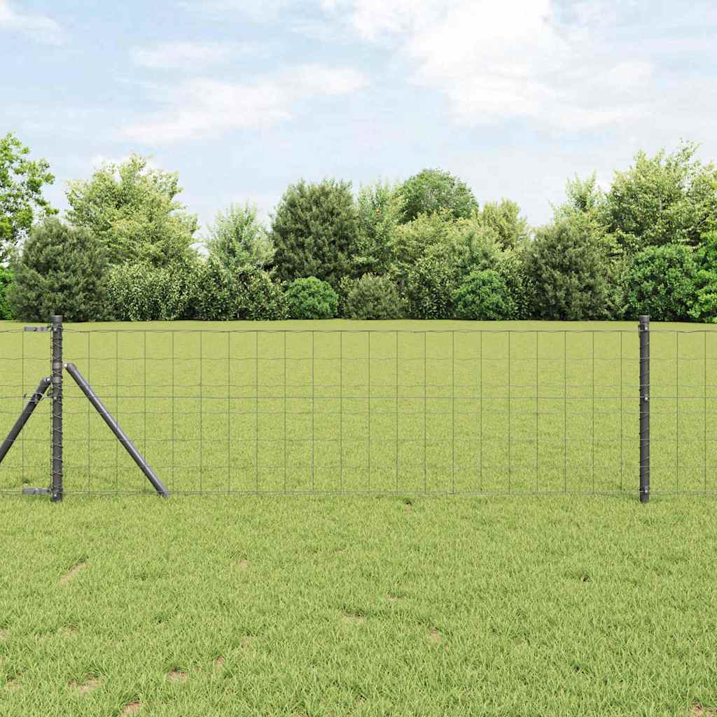 Euro gjerde Grå 0,6 x 10 m PVC-belagt jern