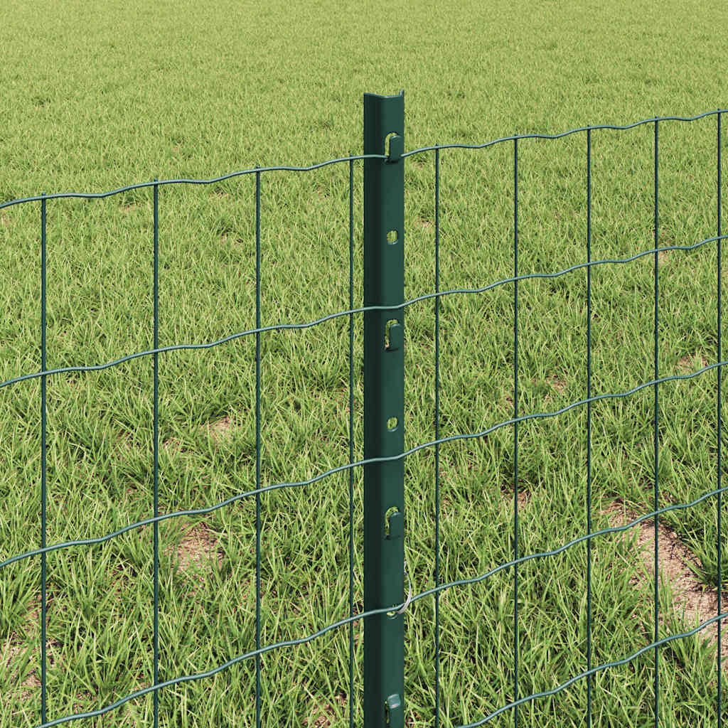 Euro gjerdet med stolpe 10 x 0,4 m PVC-belagt stål Grønn Mesh