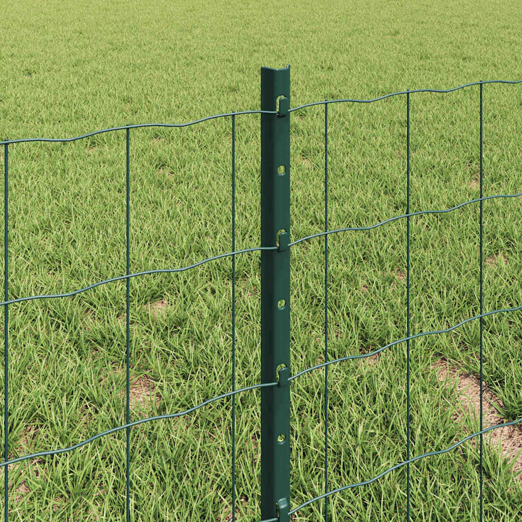 Euro gjerdet med stolpe 10 x 0,4 m PVC-belagt stål Grønn Mesh