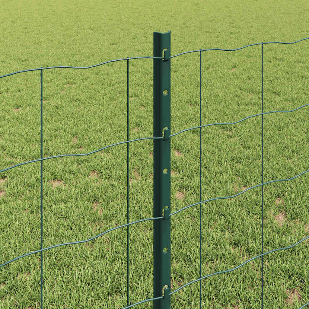 Euro gjerdet med stolpe 10 x 0,8 m PVC-belagt stål Grønn Mesh