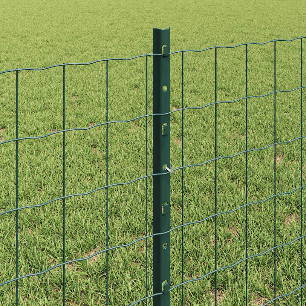 Euro gjerdet med stolpe 25 x 0,6 m PVC-belagt stål Grønn Mesh