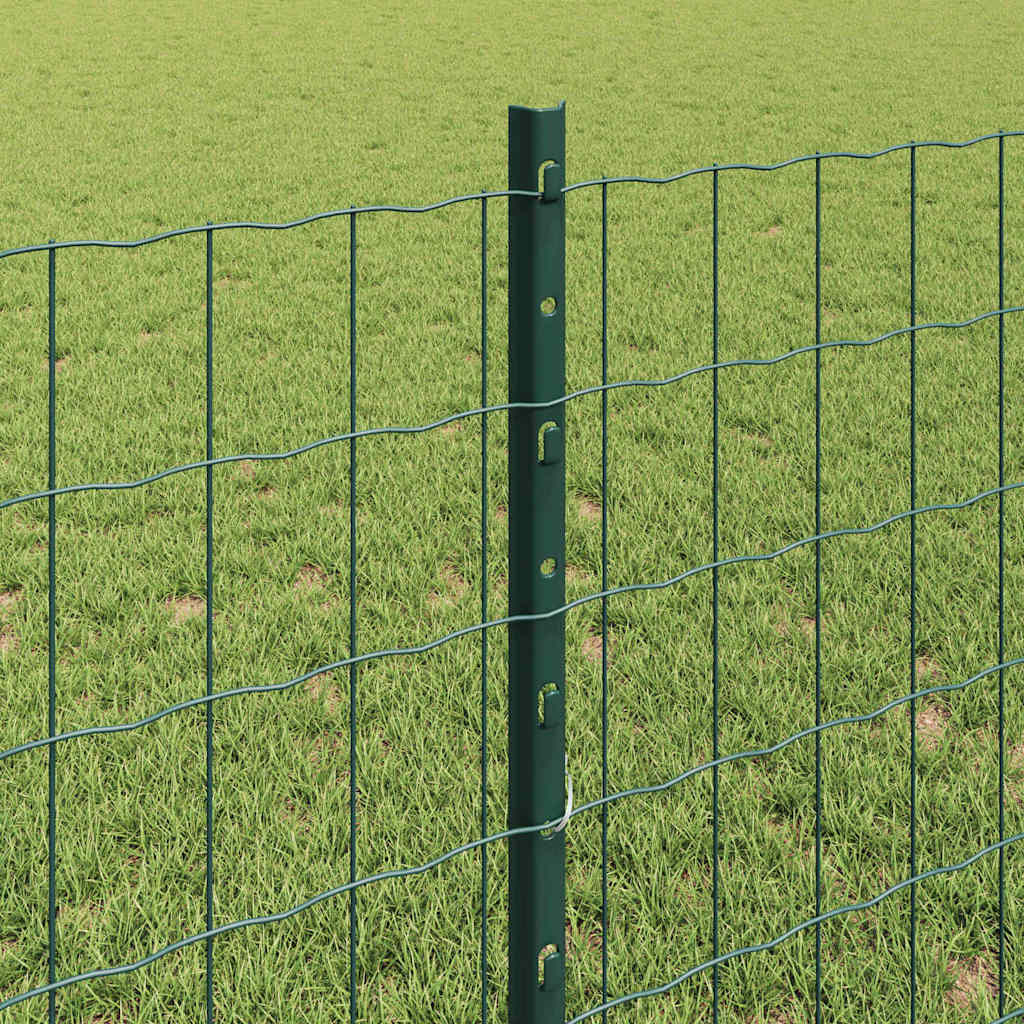 Euro gjerdet med stolpe 25 x 0,8 m PVC-belagt stål Grønn Mesh