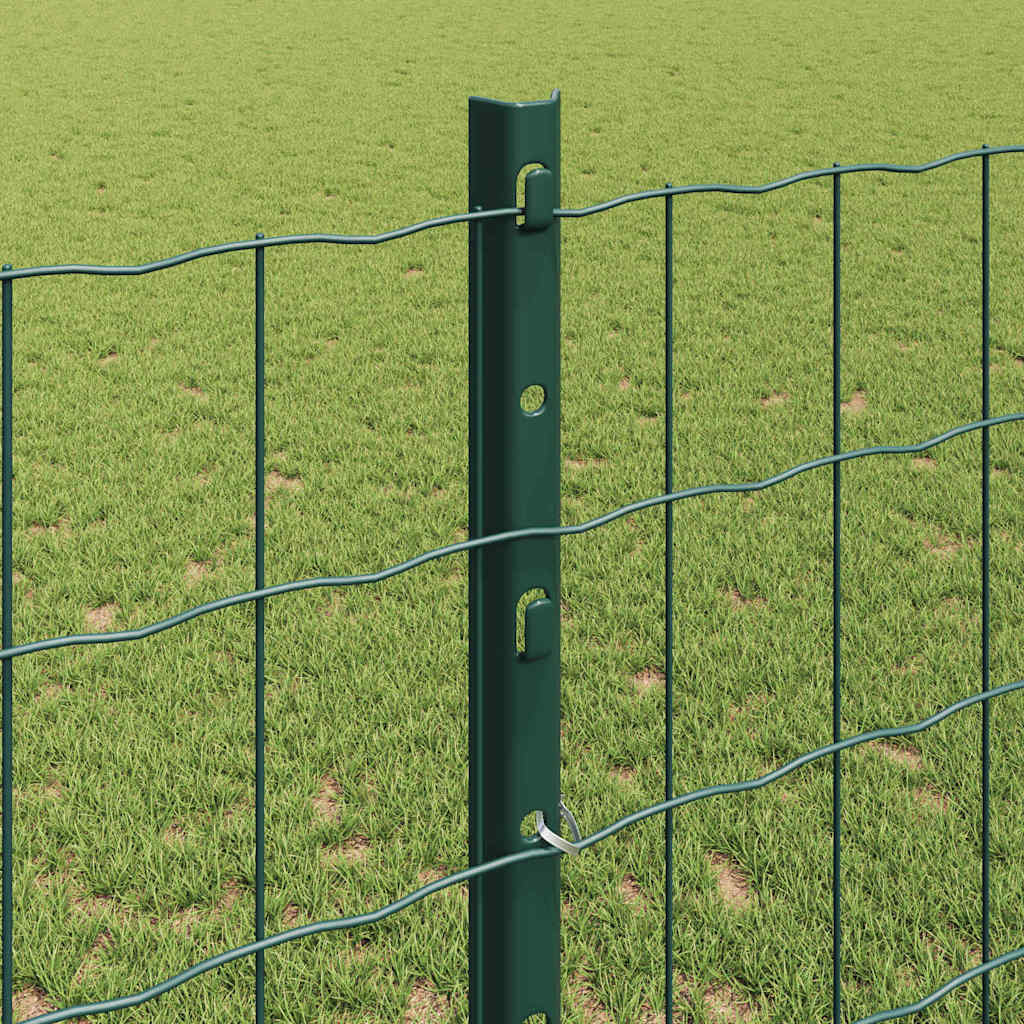 Euro gjerdet med stolpe 25 x 1,2 m PVC-belagt stål Grønn Mesh