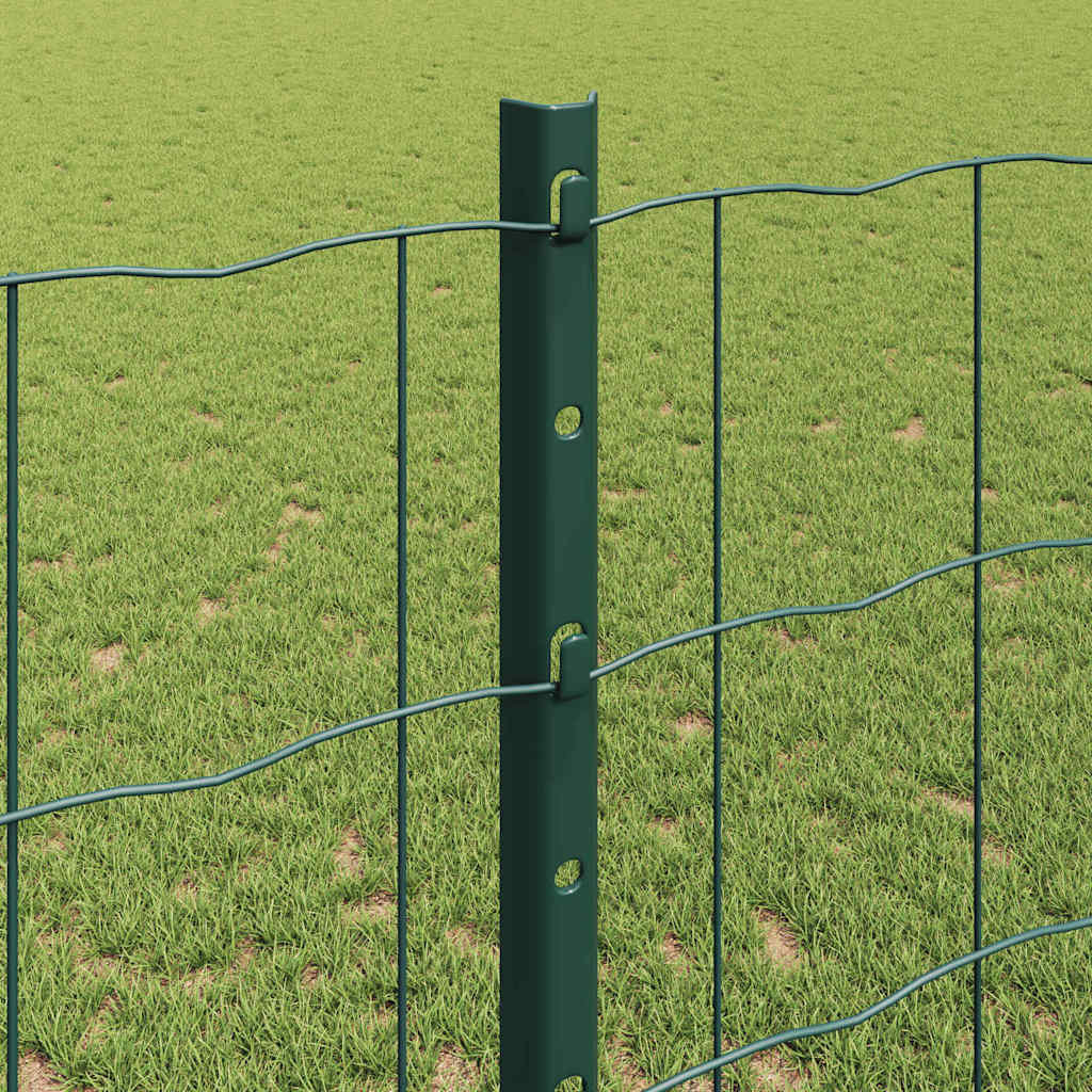 Euro gjerdet med stolpe 25 x 1,2 m PVC-belagt stål Grønn Mesh