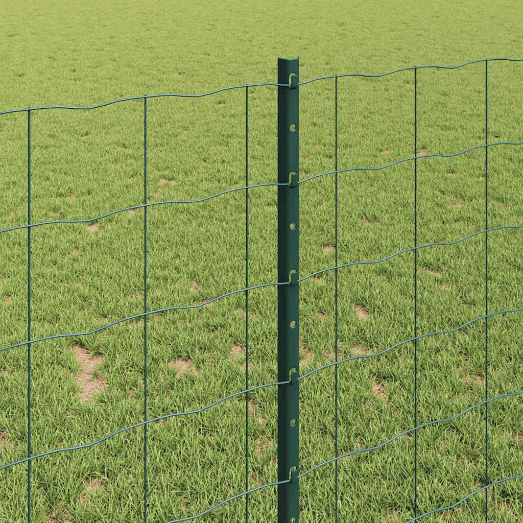 Euro gjerdet med stolpe 25 x 1 m PVC-belagt stål Grønn Mesh