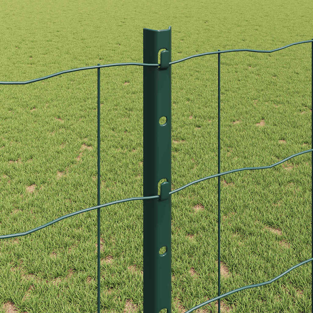 Euro gjerdet med stolpe 25 x 1,2 m PVC-belagt stål Grønn Mesh