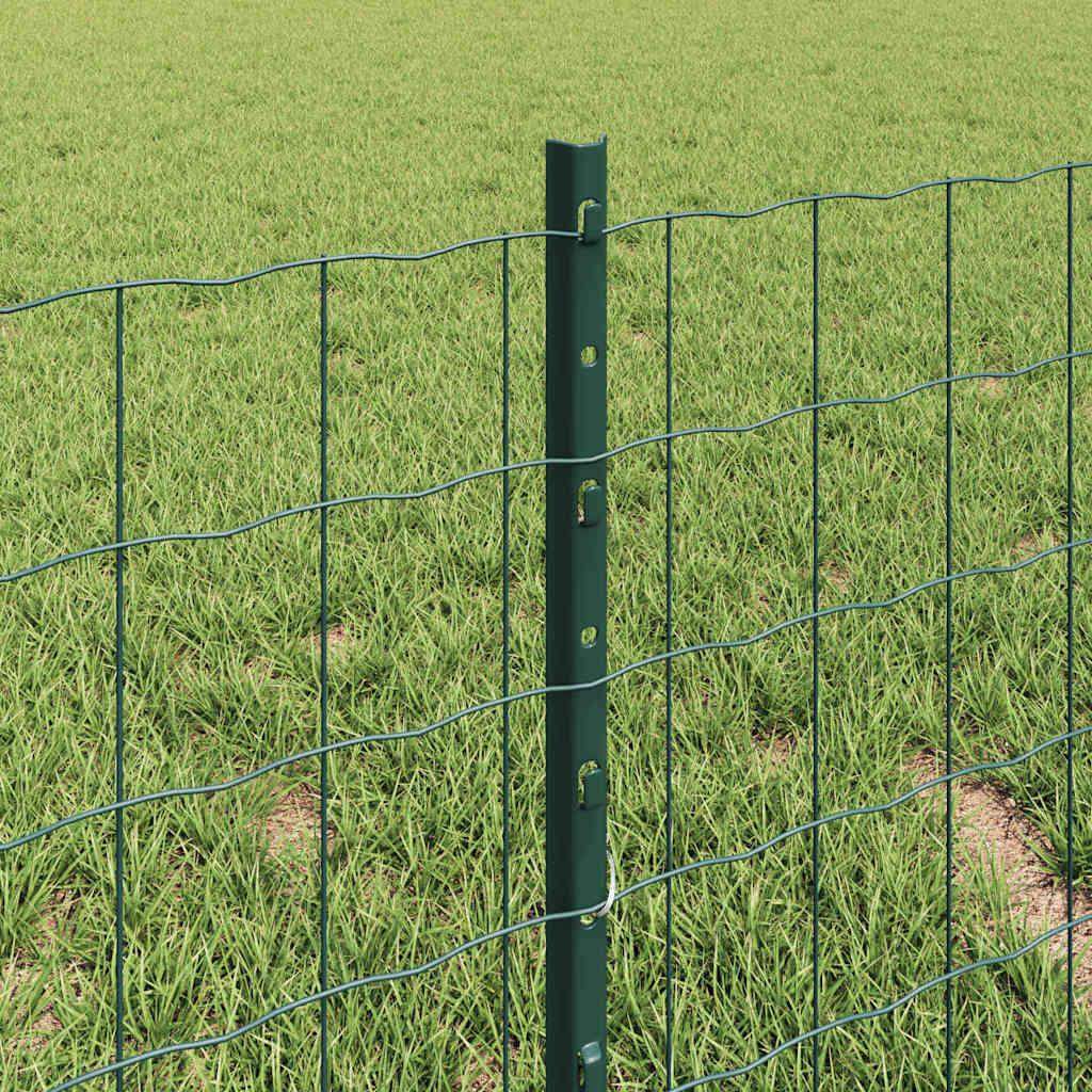 Euro gjerdet med stolpe 10 x 0,4 m PVC-belagt stål Grønn Mesh
