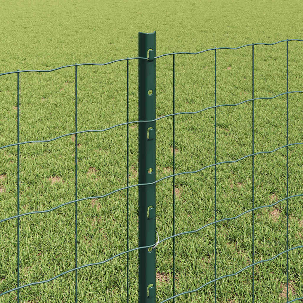 Euro gjerdet med stolpe 25 x 0,8 m PVC-belagt stål Grønn Mesh