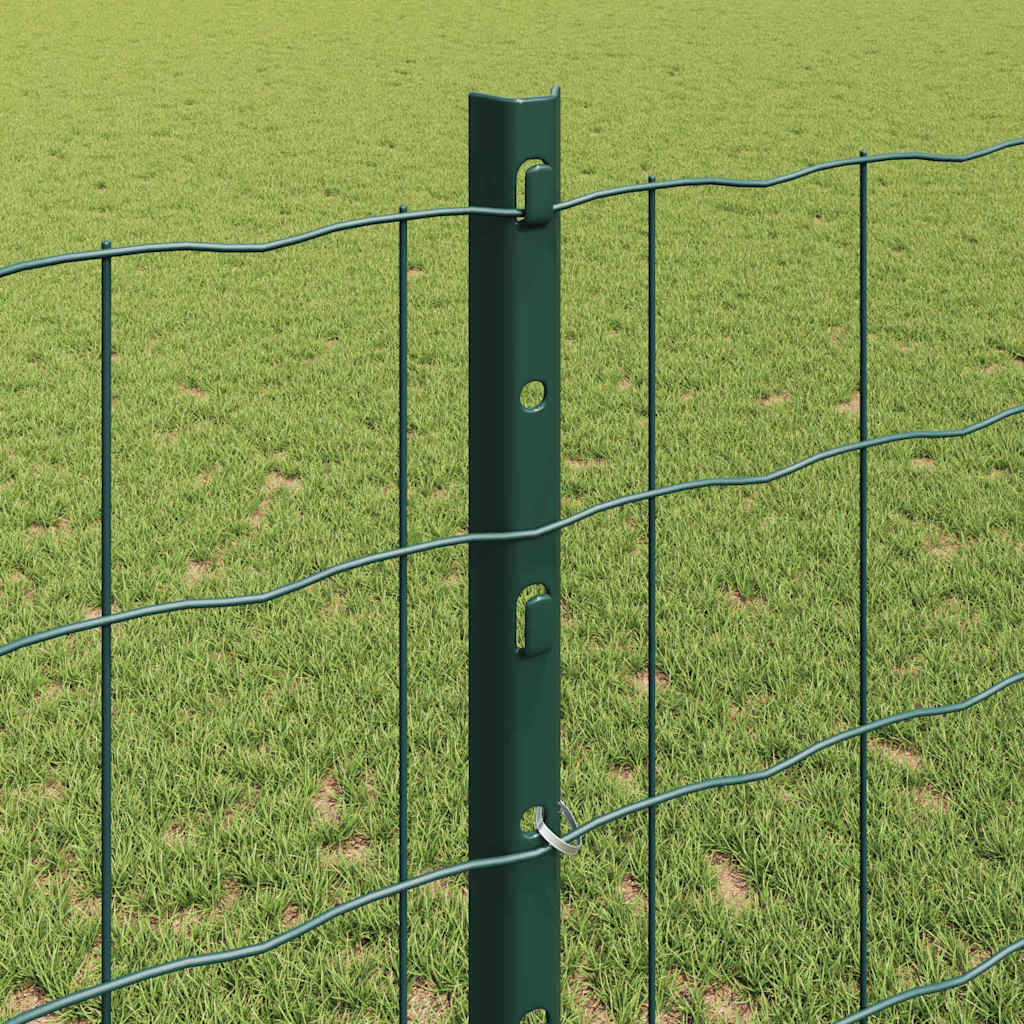 Euro gjerdet med stolpe 25 x 1,2 m PVC-belagt stål Grønn Mesh