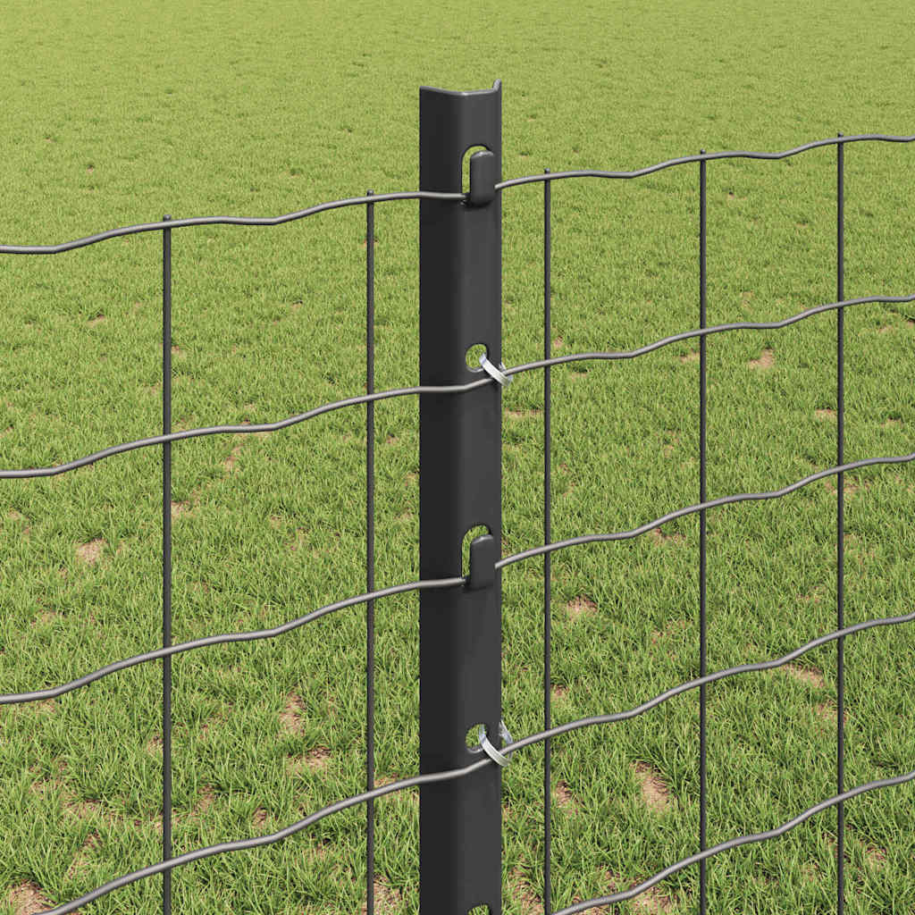 Euro gjerdet med stolpe 10 x 1,2 m PVC-belagt stål Grå Mesh