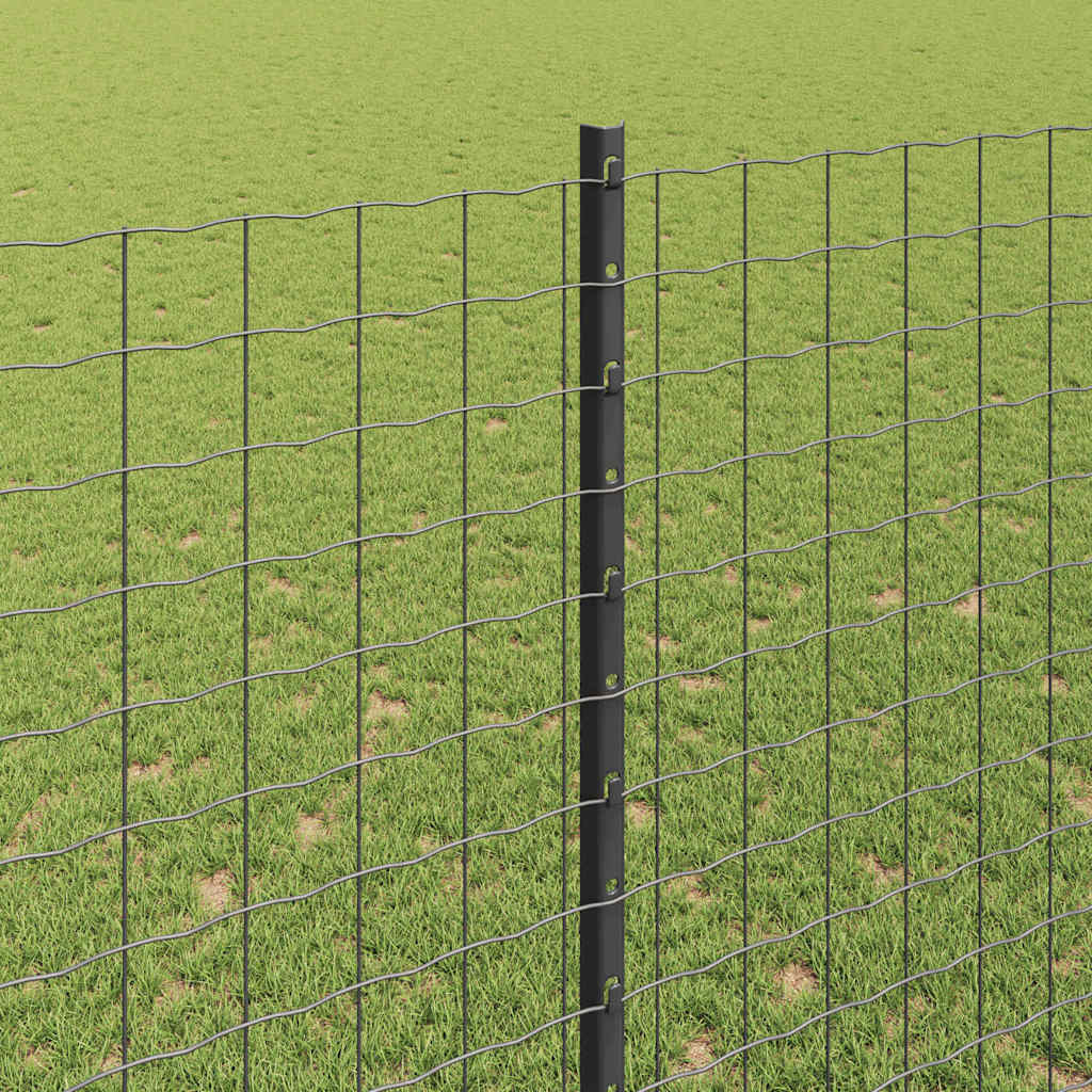 Euro gjerdet med stolpe 10 x 1,6 m PVC-belagt stål Grå Mesh
