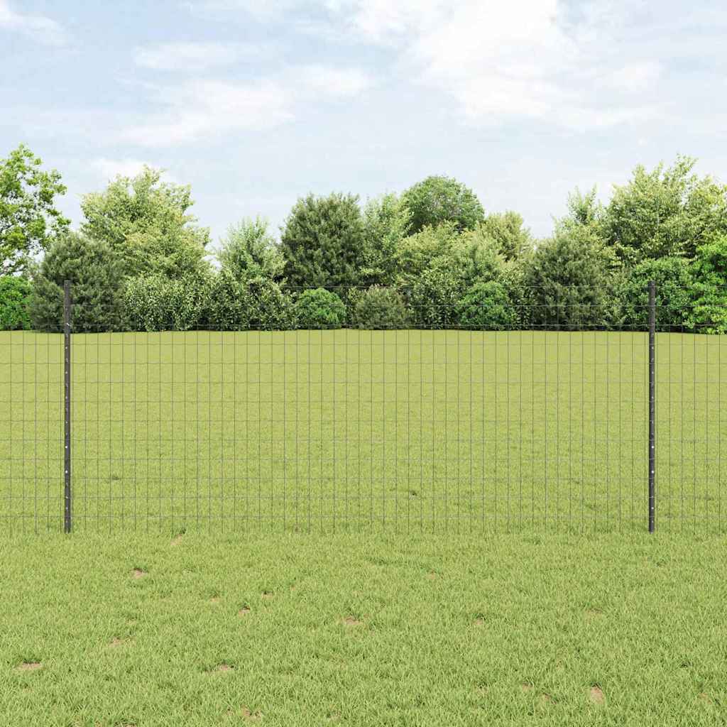 Euro gjerdet med stolpe 10 x 1 m PVC-belagt stål Grå Mesh