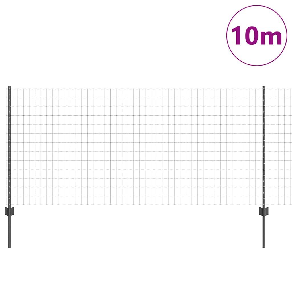 Euro gjerdet med stolpe 10 x 1 m PVC-belagt stål Grå Mesh