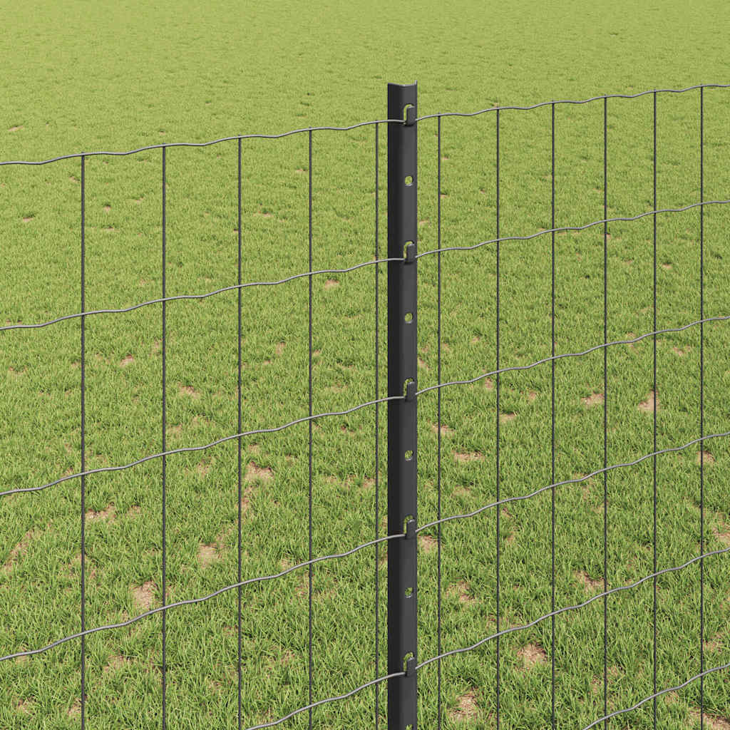 Euro gjerdet med stolpe 10 x 1,6 m PVC-belagt stål Grå Mesh