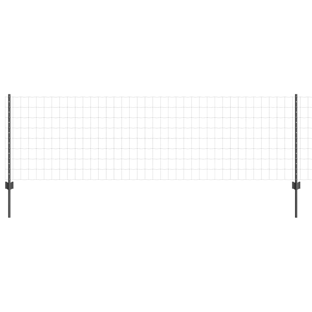 Euro gjerdet med stolpe 10 x 0,8 m PVC-belagt stål Grå Mesh