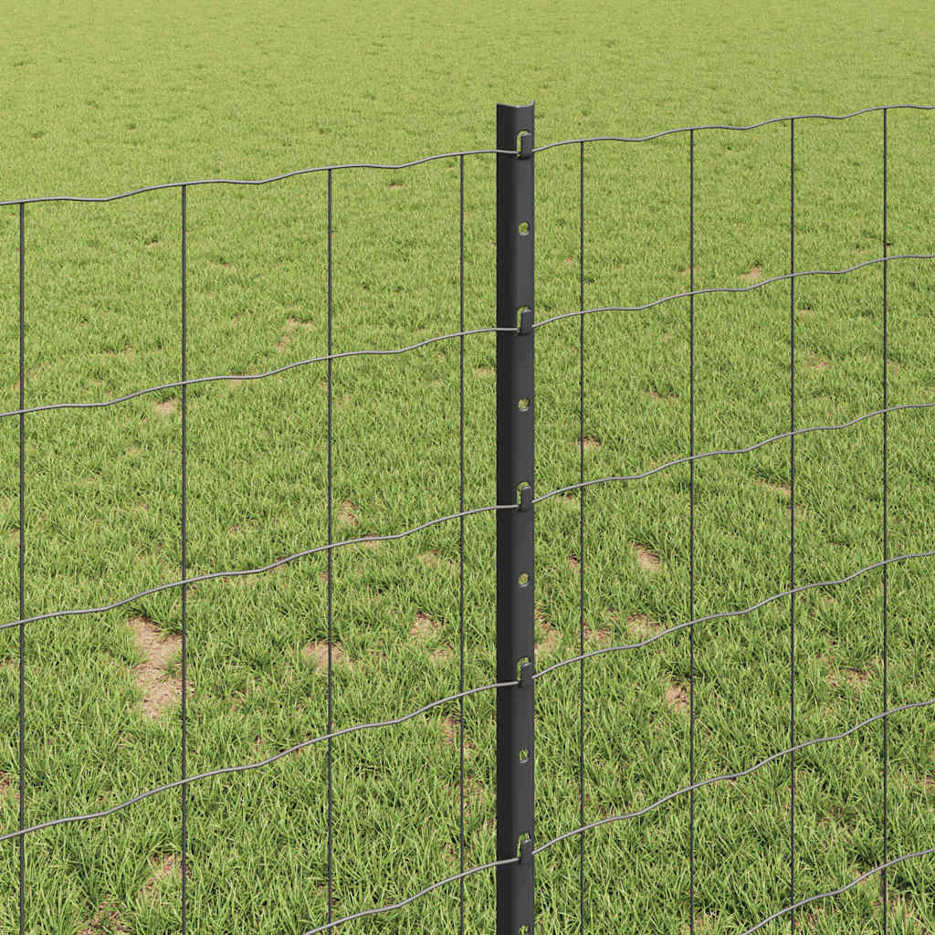 Euro gjerdet med stolpe 10 x 1 m PVC-belagt stål Grå Mesh