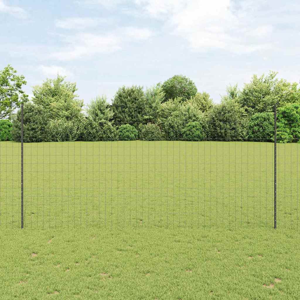Euro gjerdet med stolpe 10 x 1,6 m PVC-belagt stål Grå Mesh