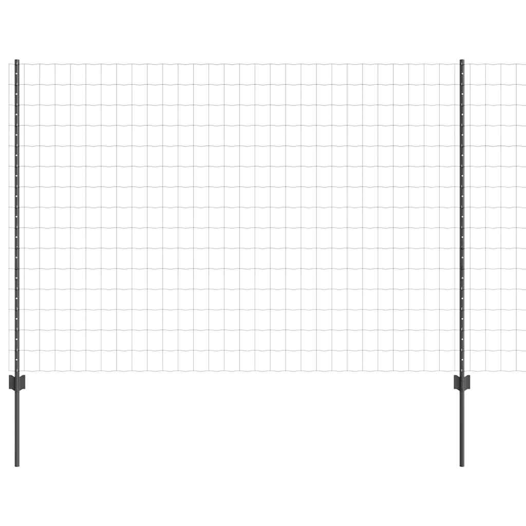 Euro gjerdet med stolpe 10 x 1,6 m PVC-belagt stål Grå Mesh