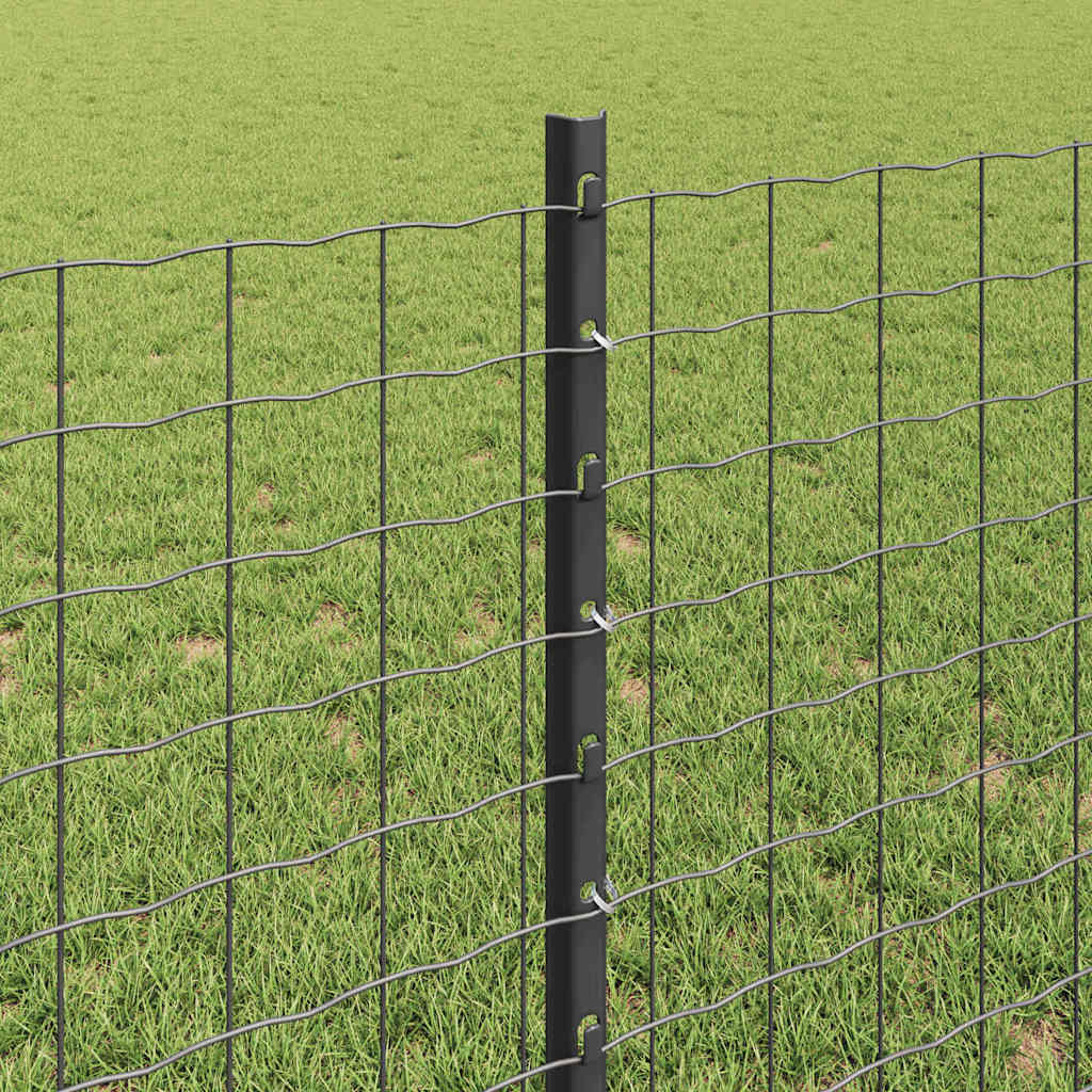 Euro gjerdet med stolpe 25 x 0,8 m PVC-belagt stål Grå Mesh