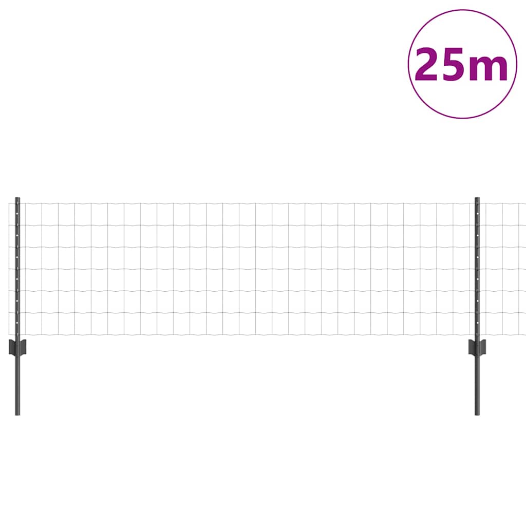 Euro gjerdet med stolpe 25 x 0,6 m PVC-belagt stål Grå Mesh