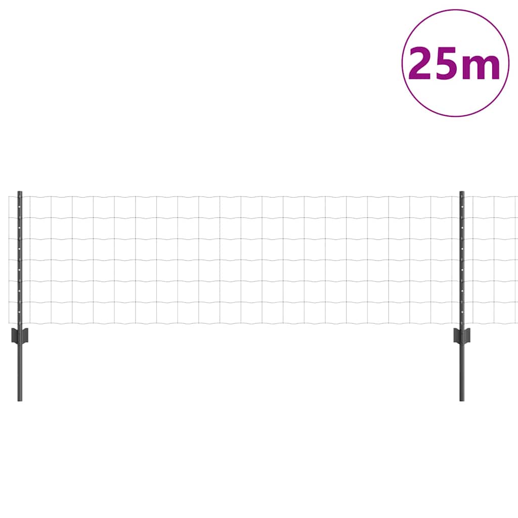 Euro gjerdet med stolpe 25 x 0,6 m PVC-belagt stål Grå Mesh