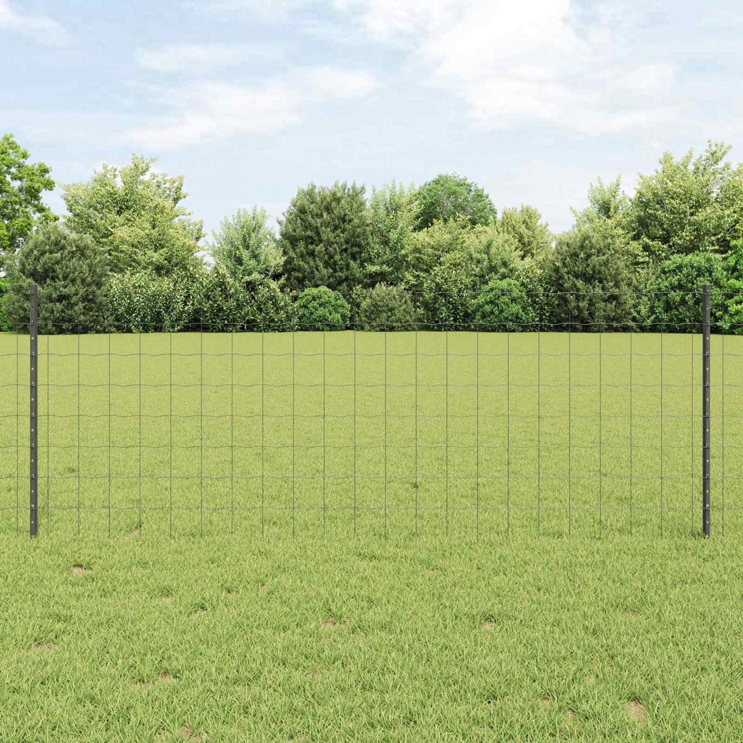Euro gjerdet med stolpe 25 x 0,8 m PVC-belagt stål Grå Mesh