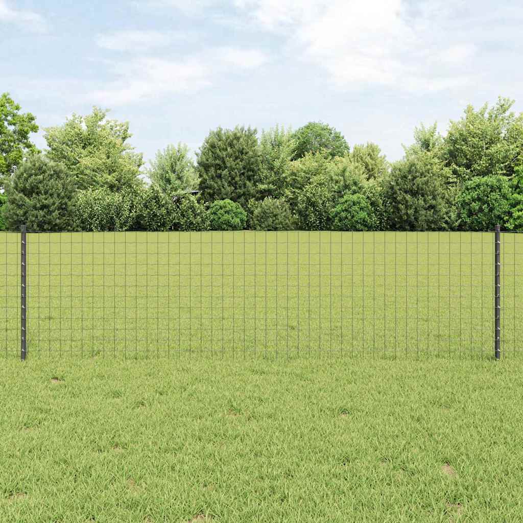 Euro gjerdet med stolpe 50 x 0,6 m PVC-belagt stål Grå Mesh