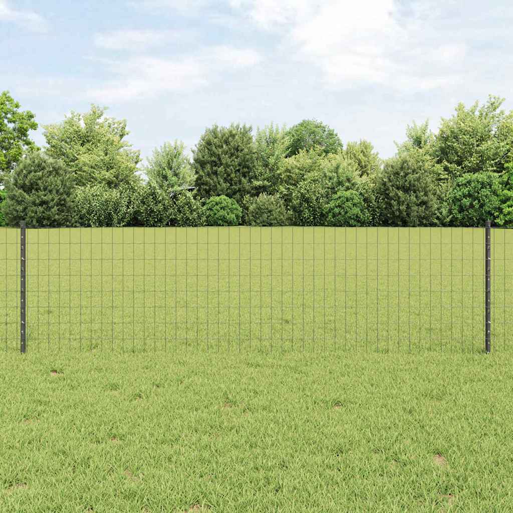 Euro gjerdet med stolpe 50 x 0,6 m PVC-belagt stål Grå Mesh
