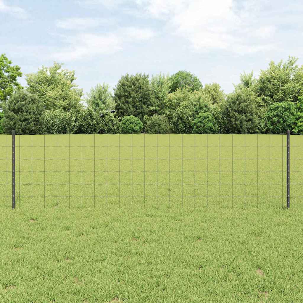 Euro gjerdet med stolpe 50 x 0,6 m PVC-belagt stål Grå Mesh