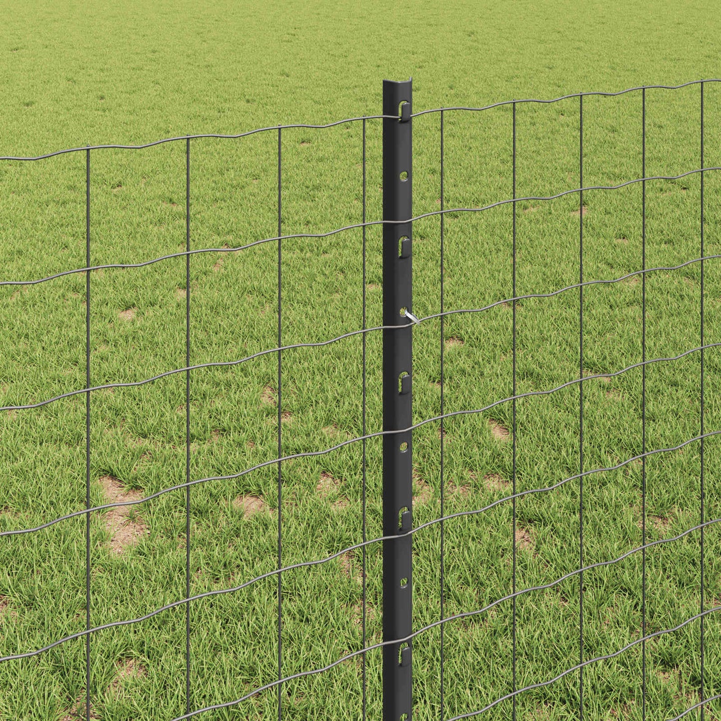 Euro gjerdet med stolpe 10 x 1 m PVC-belagt stål Grå Mesh