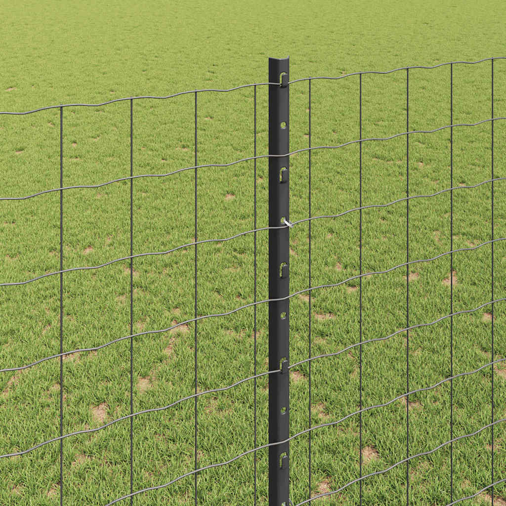 Euro gjerdet med stolpe 10 x 1,6 m PVC-belagt stål Grå Mesh