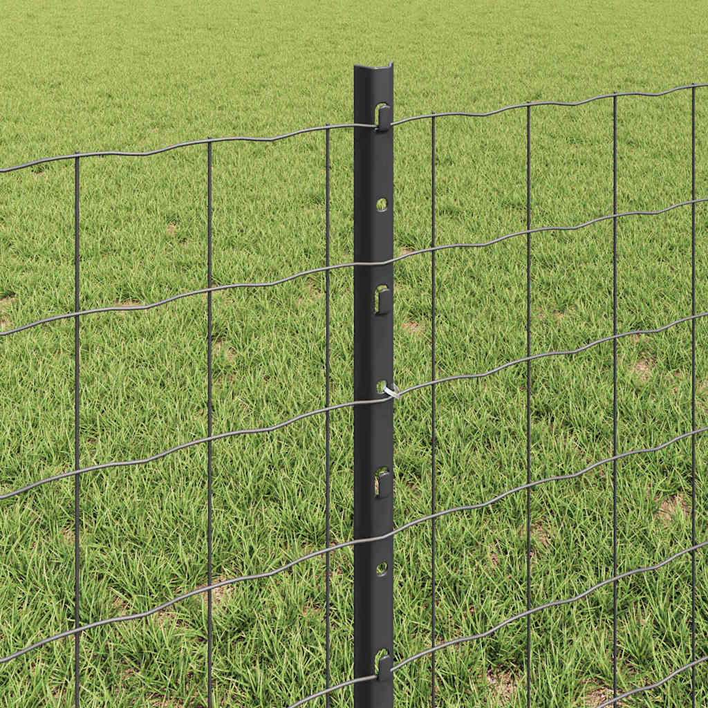 Euro gjerdet med stolpe 50 x 0,6 m PVC-belagt stål Grå Mesh