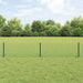 Kjettinggjerde med stolpe 10 x 0,4 m PVC-belagt stål Grønn Mesh