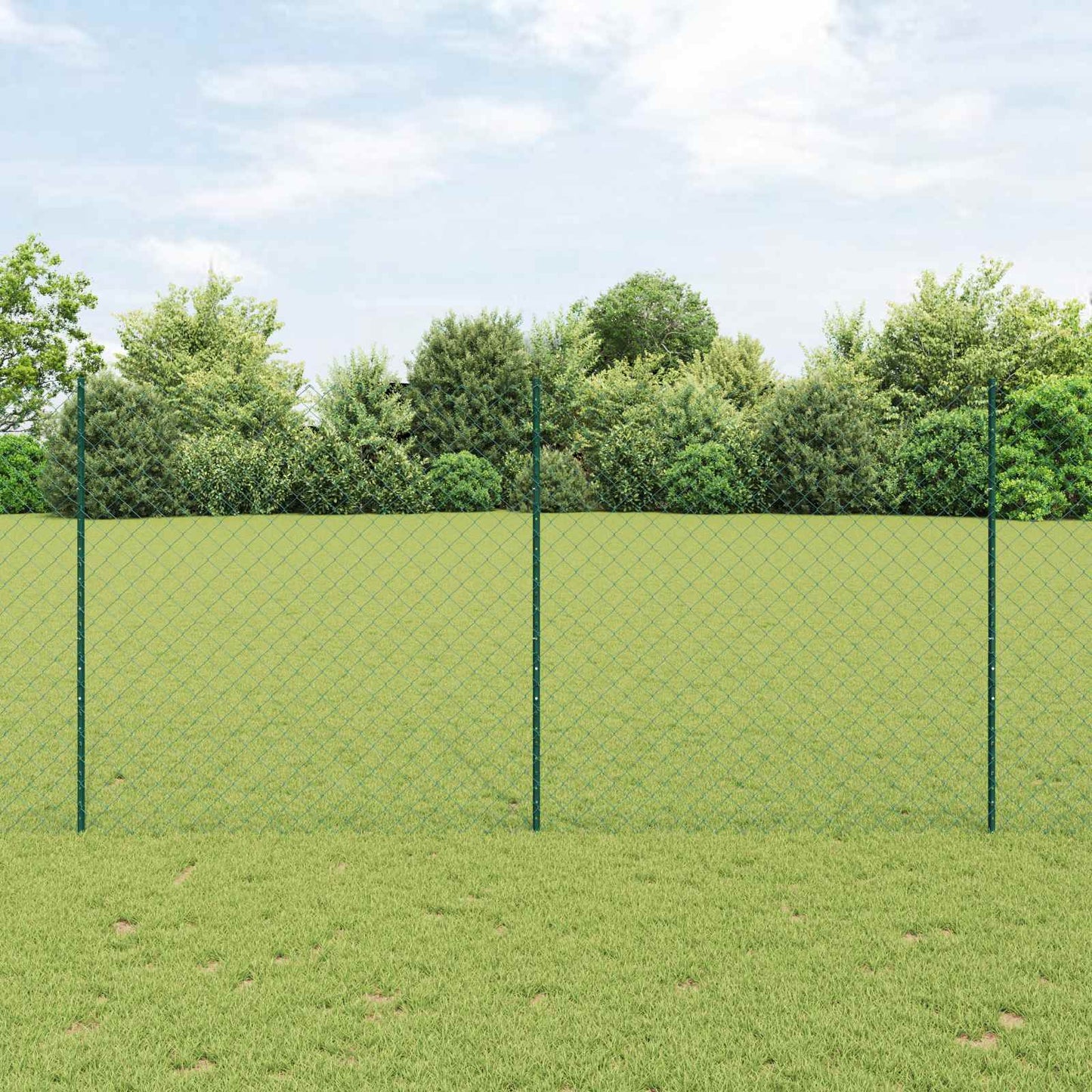 Kjettinggjerde med stolpe 10 x 1,6 m PVC-belagt stål Grønn Mesh