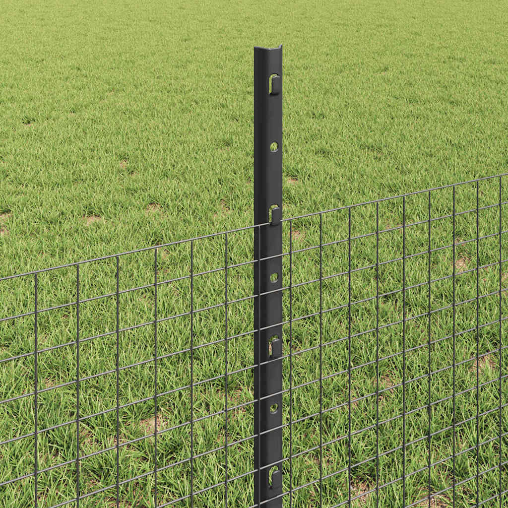 Sveiset trådgjerde med stolper 50 x 0,5 m PVC-belagt stål Grå