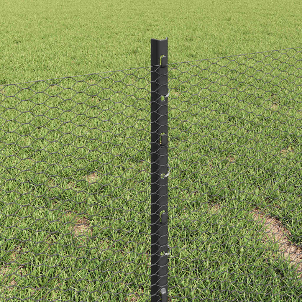 Sekskantet gjerde med post 10 x 0,4 m PVC-belagt stål Grå Mesh
